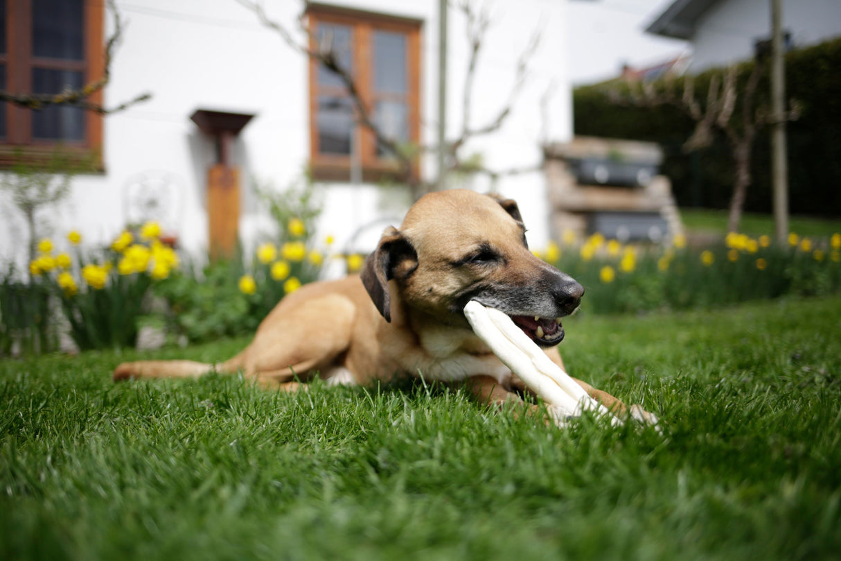 Kerbl Artikel 80704 im Online Shop kaufen