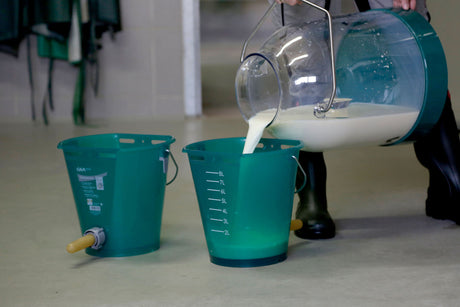 GEA Hygienetränkeeimer 8 Liter mit Klapp-Ventil 7315-5073-200 (14229-GEA / 73155073200)