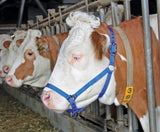 Kerbl Artikel 12614 im Online Shop kaufen