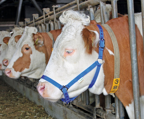 Kerbl Artikel 12614 im Online Shop kaufen