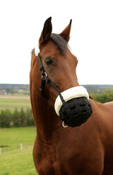 Kerbl Artikel 3222143 im Online Shop kaufen