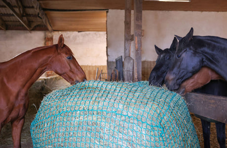 Kerbl Heunetz für Rundballen 180x180cm, Maschenweite 4,5cm 1 Stück 321604