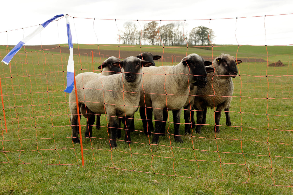 Kerbl Herdenschutzband blau/weiß, geblockt, 80mm, 100 m Rolle 27239