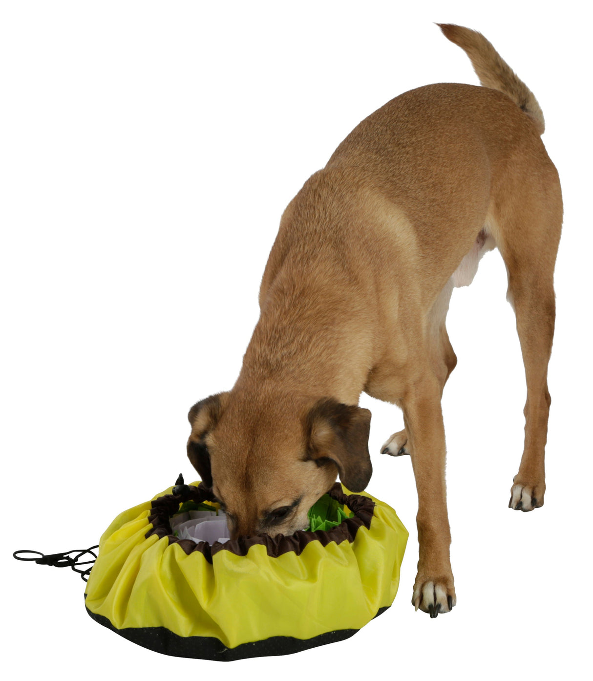 Kerbl Artikel 80749 im Online Shop kaufen