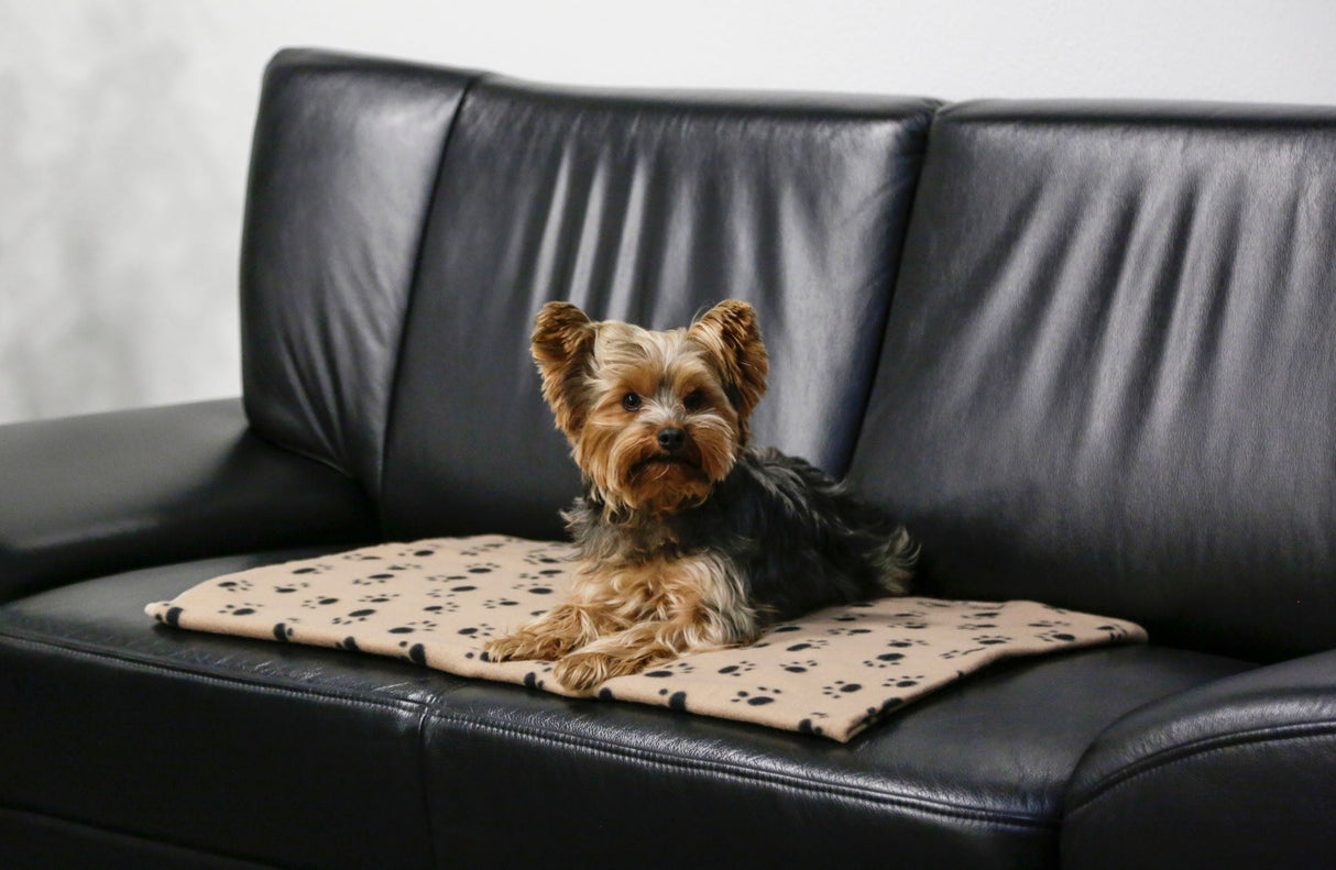 Kerbl Artikel 80306 im Online Shop kaufen