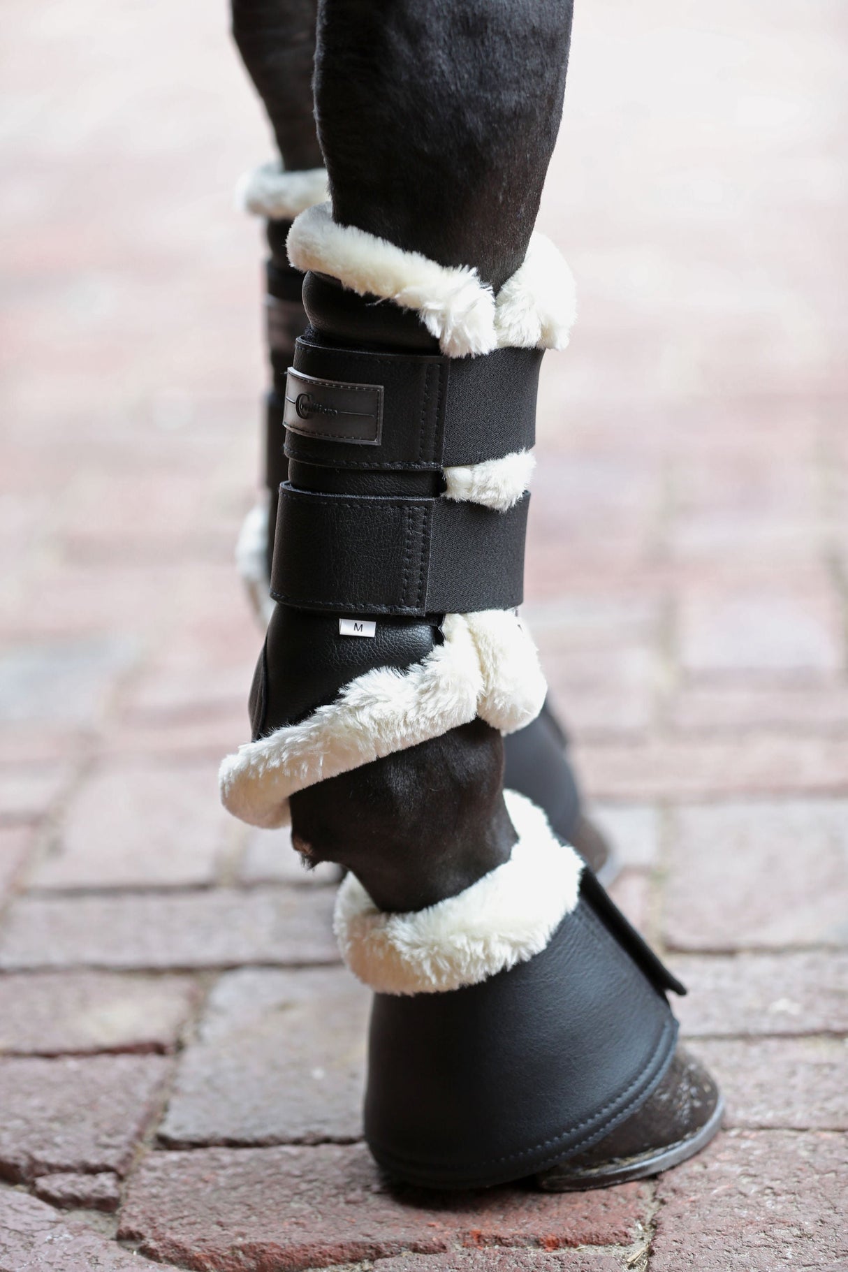 Kerbl Artikel 3297637 im Online Shop kaufen