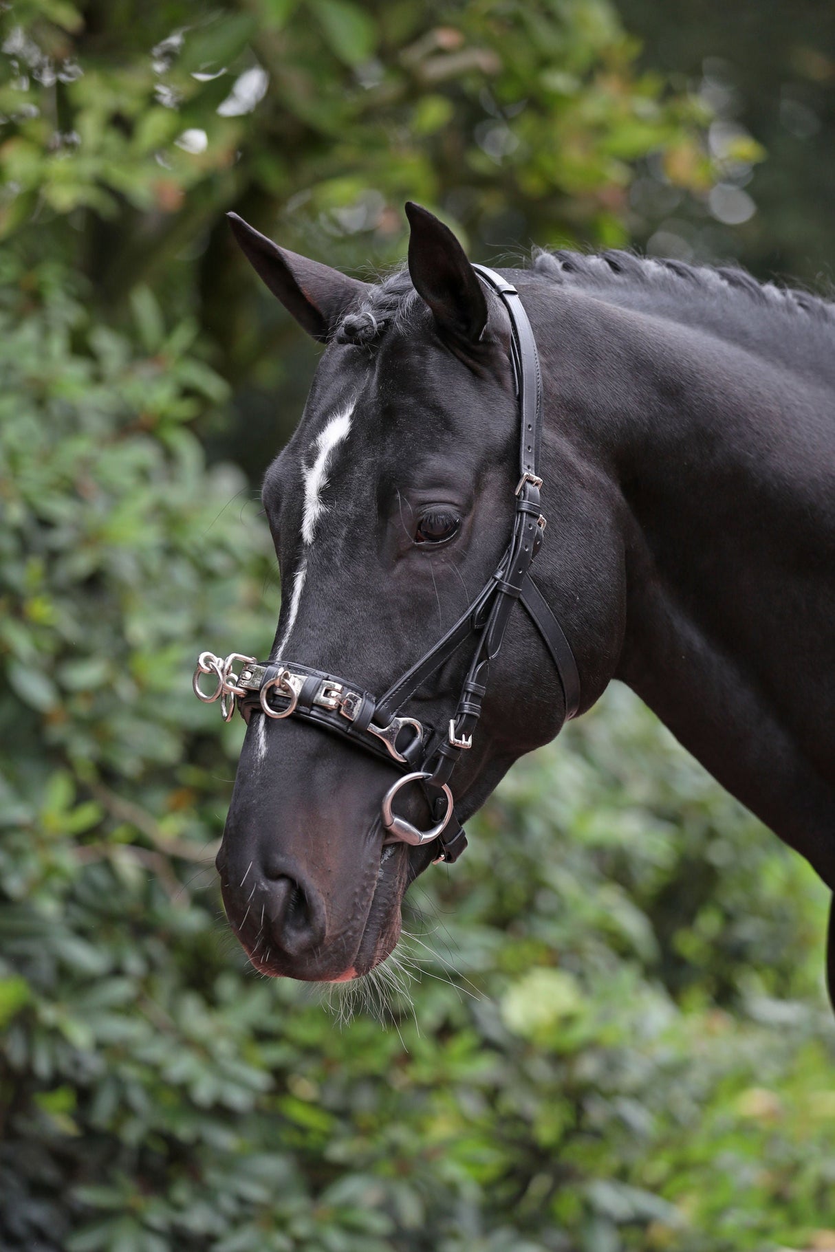 Kerbl Artikel 328649 im Online Shop kaufen