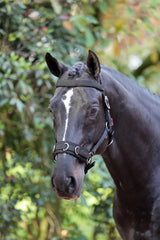 Kerbl Artikel 328651 im Online Shop kaufen