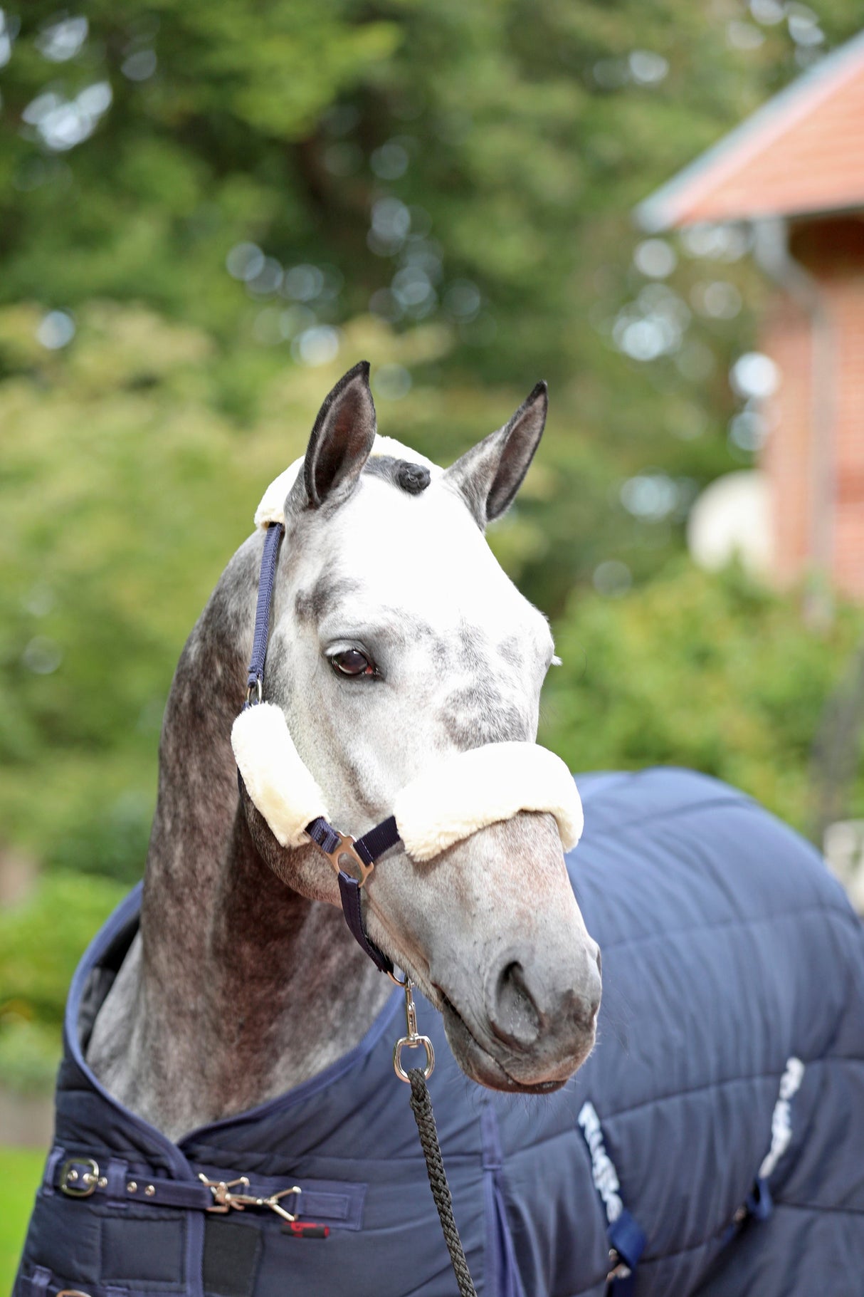 Kerbl Webpelz Nasen-, Backen und Genickschutz 1 Packung 3297733