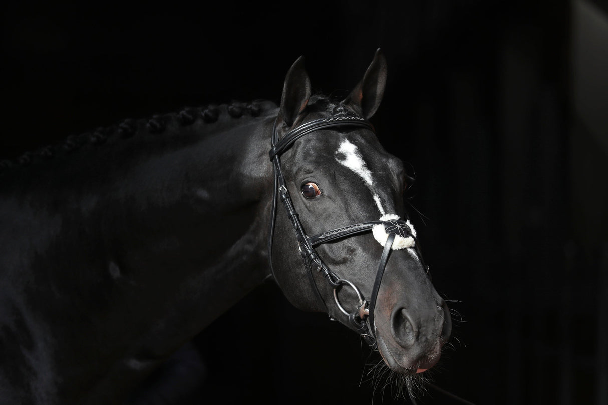 Kerbl Trensenzaum Cancun schwarz, Pony 1 Stück 3297734