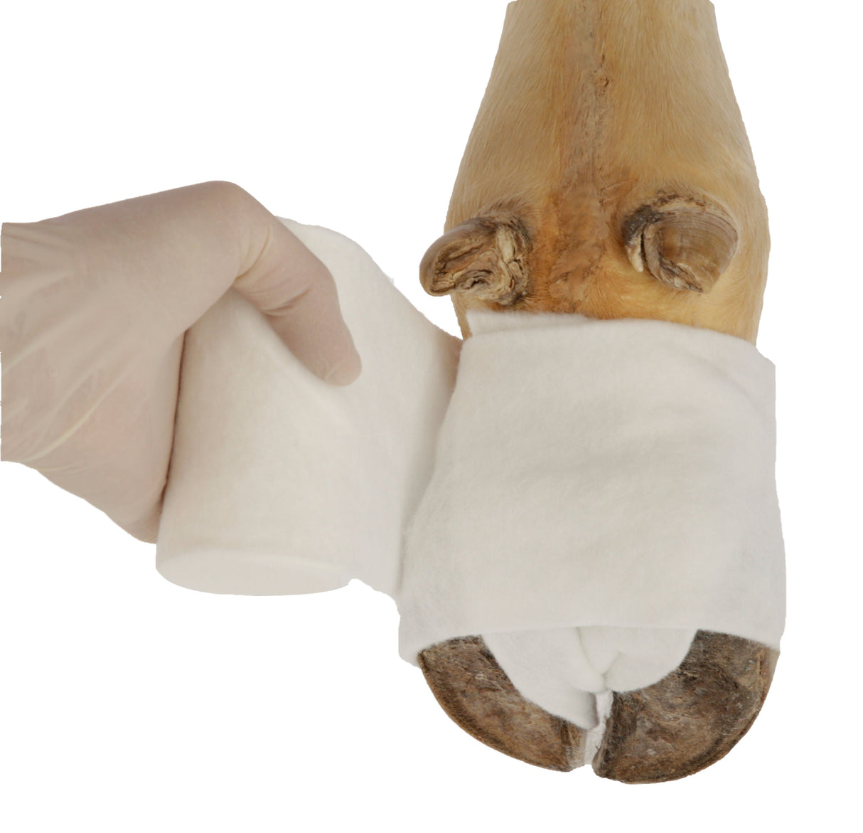 Kerbl Artikel 16478 im Online Shop kaufen