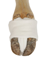 Kerbl Artikel 16479 im Online Shop kaufen