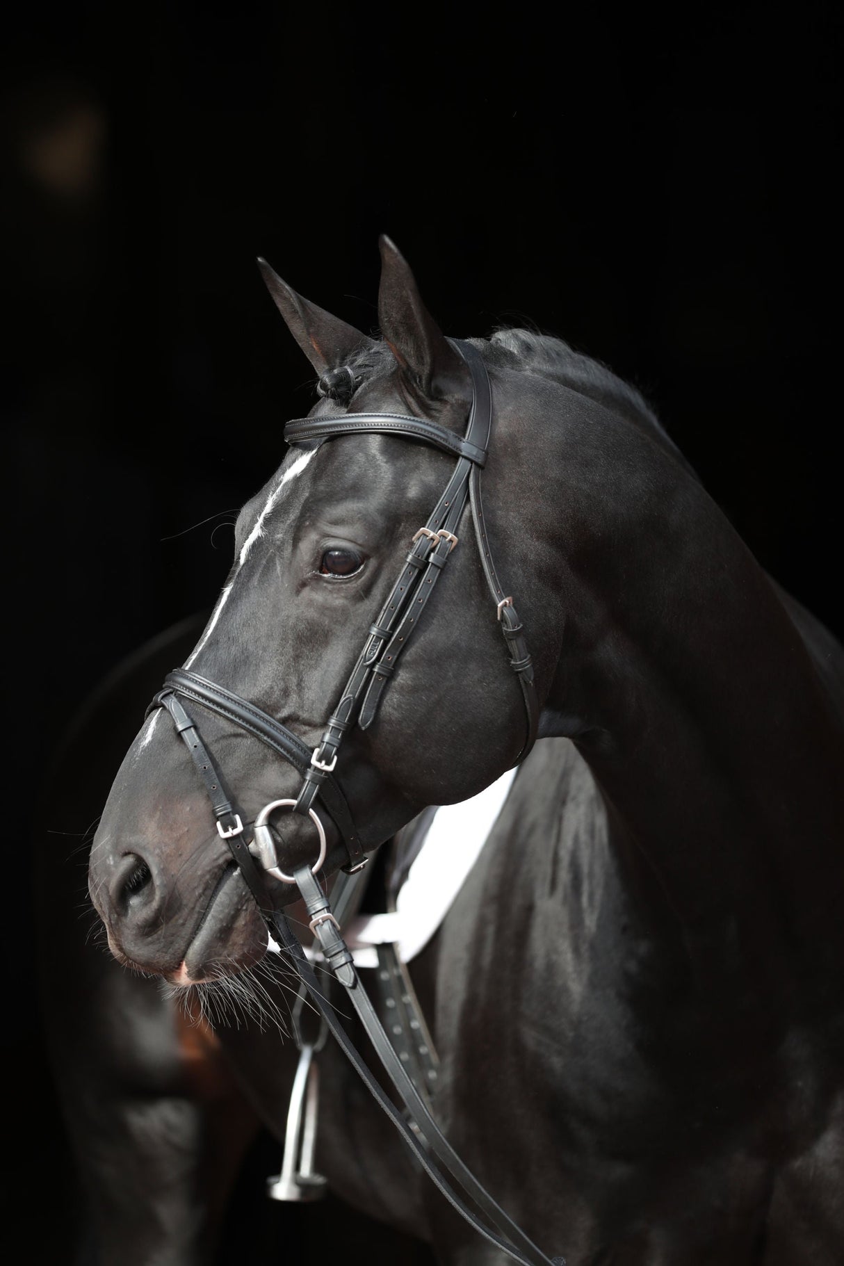 Kerbl Artikel 32170 im Online Shop kaufen