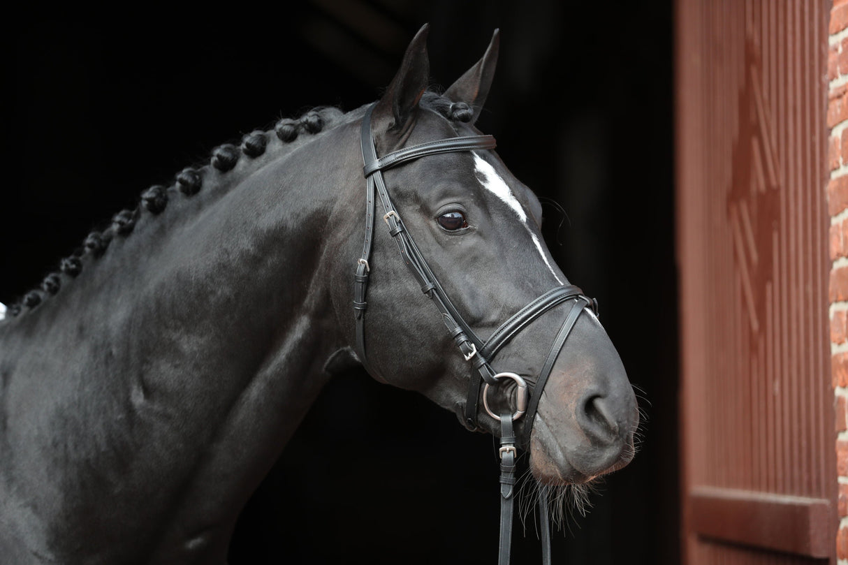 Kerbl Artikel 32170 im Online Shop kaufen