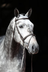 Kerbl Artikel 321714 im Online Shop kaufen