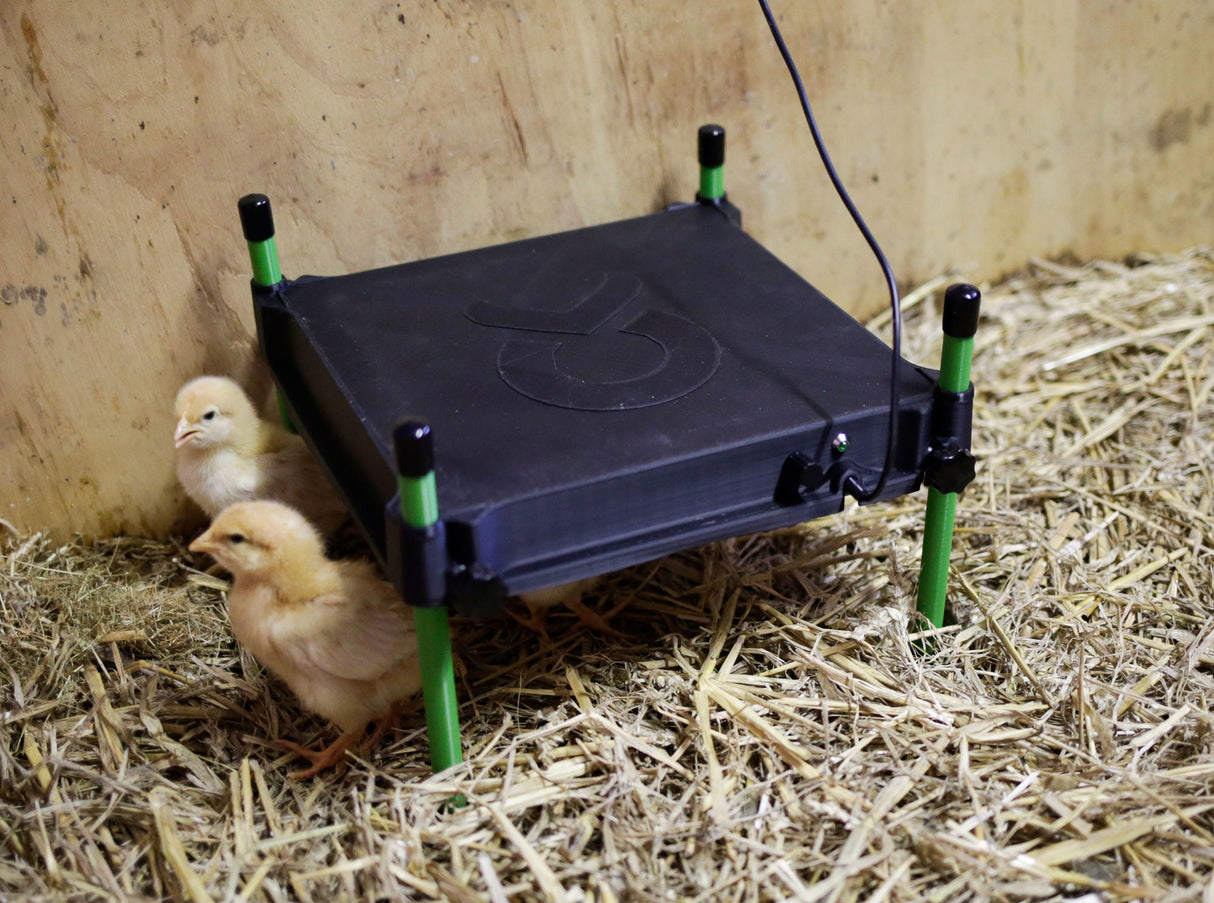 Kerbl Wärmeplatte für Küken CosyHeat, 30x30 cm 24 V, integr. Thermostat - 70420