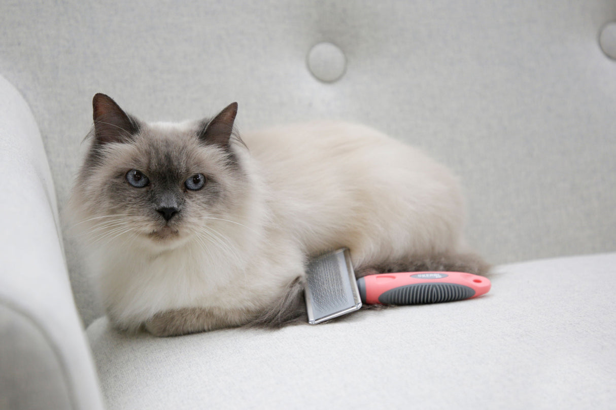 Kerbl Artikel 80848 im Online Shop kaufen