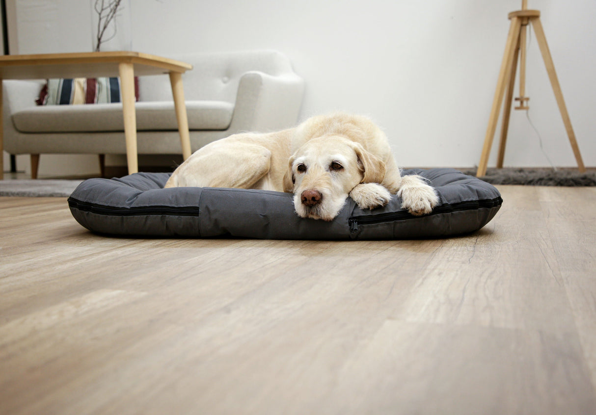 Kerbl Artikel 80435 im Online Shop kaufen