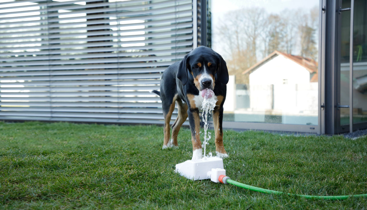 Kerbl Artikel 80542 im Online Shop kaufen