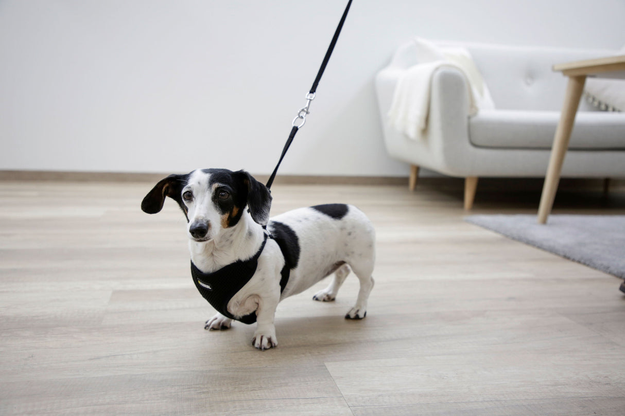 Kerbl Artikel 80677 im Online Shop kaufen