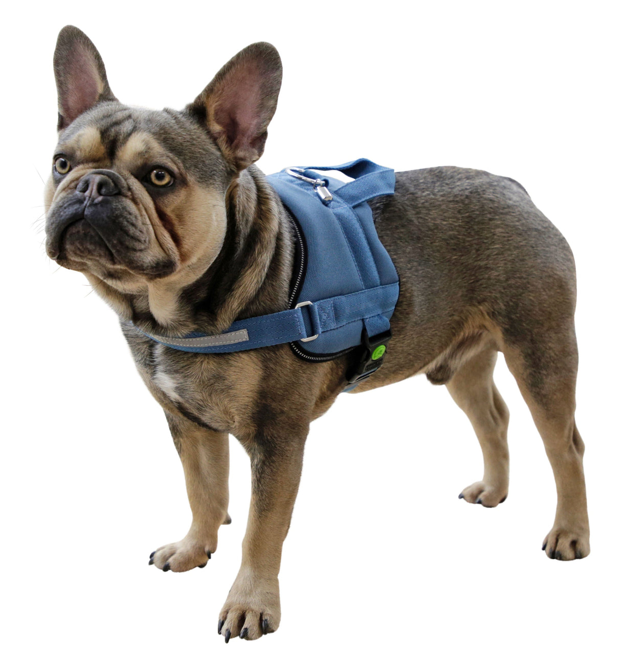 Kerbl Artikel 80210 im Online Shop kaufen