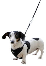 Kerbl Artikel 80677 im Online Shop kaufen