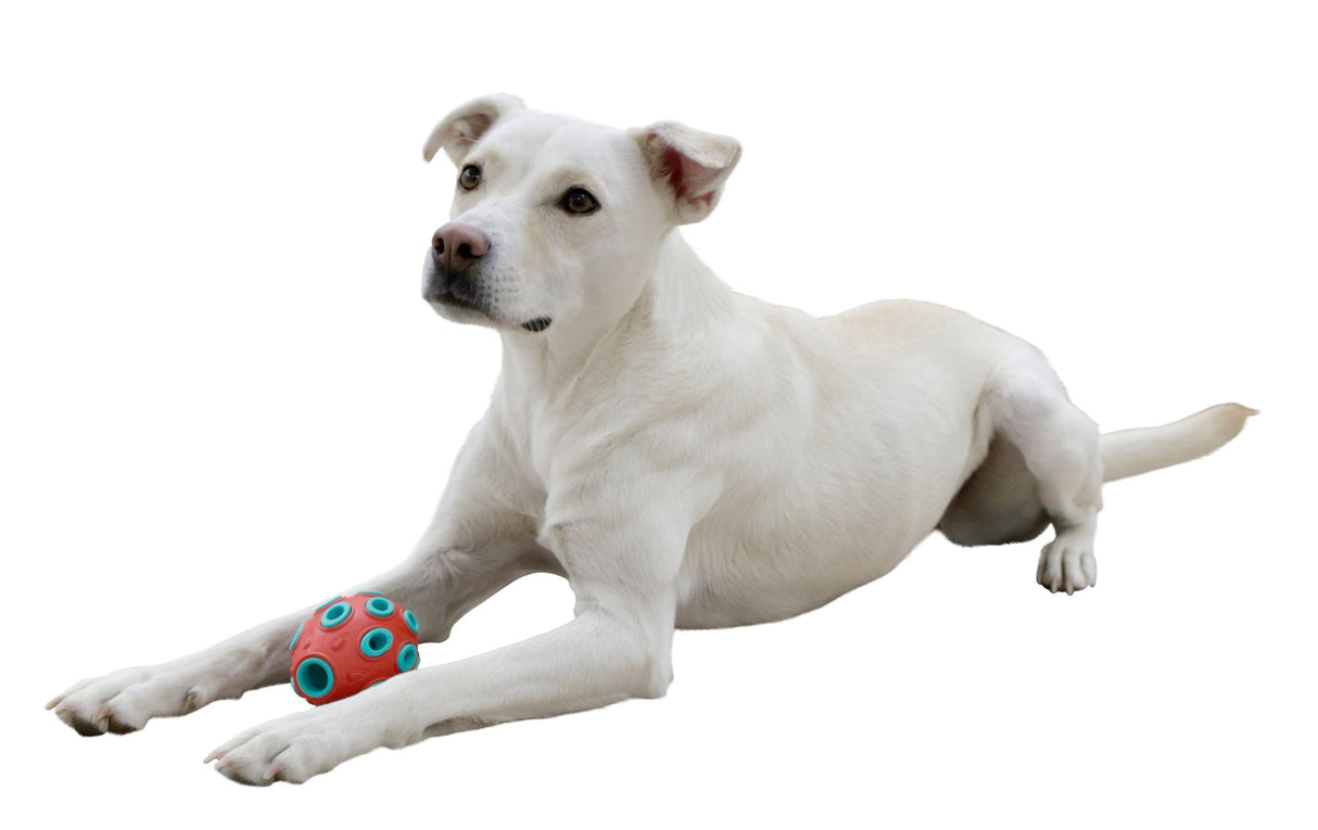 Kerbl Artikel 80985 im Online Shop kaufen