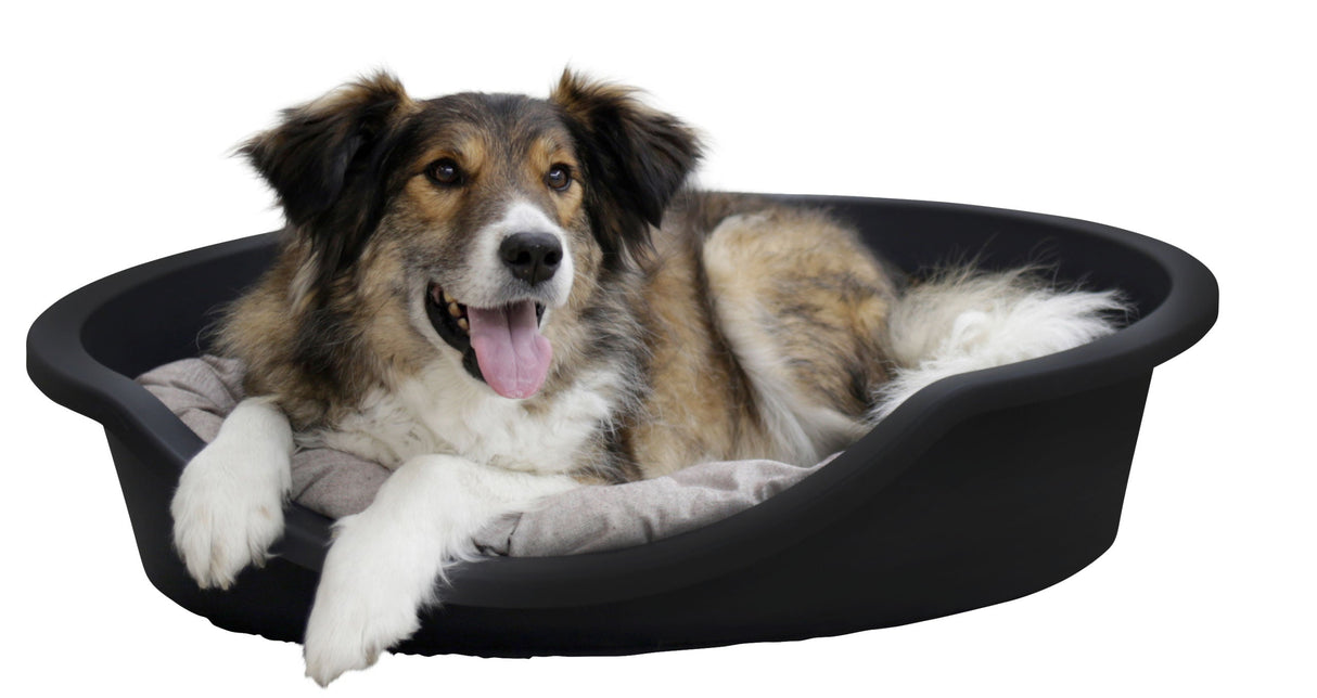 Kerbl Artikel 80430 im Online Shop kaufen