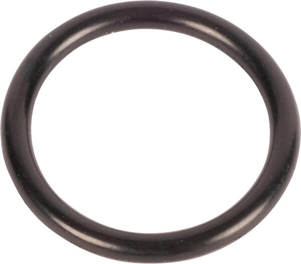 New Holland / Case O-RING - 50 STÜCK 167266 original CNH Ersatzteil
