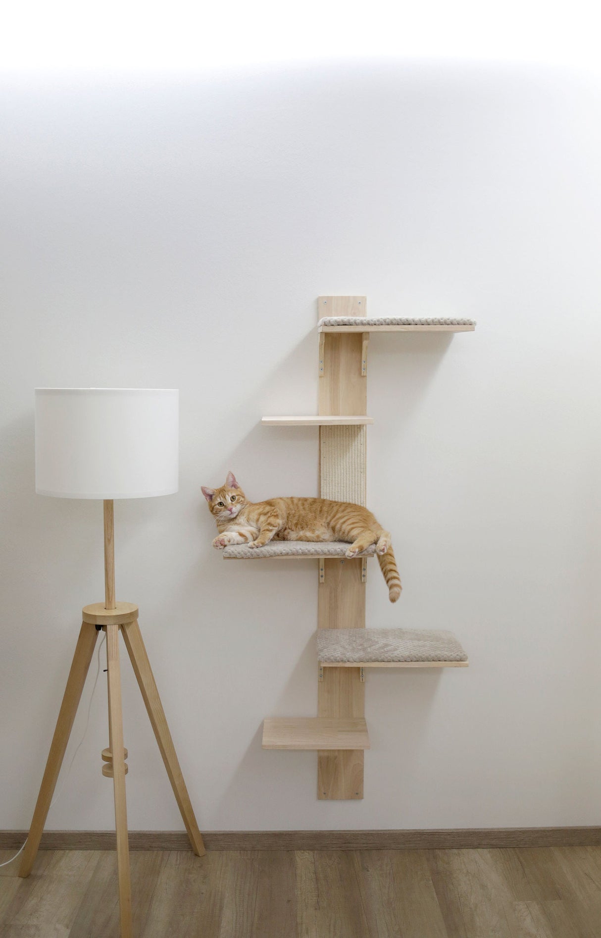 Kerbl Artikel 81612 im Online Shop kaufen