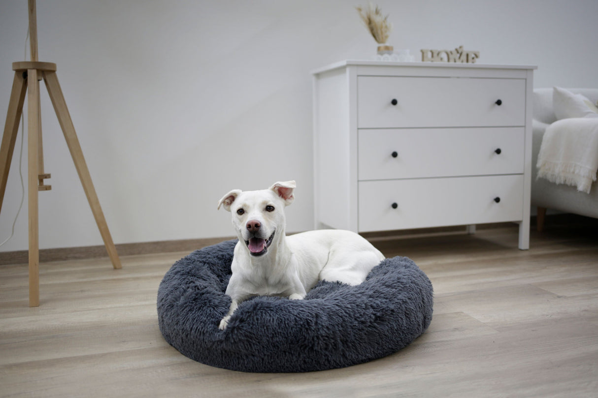 Kerbl Artikel 80409 im Online Shop kaufen