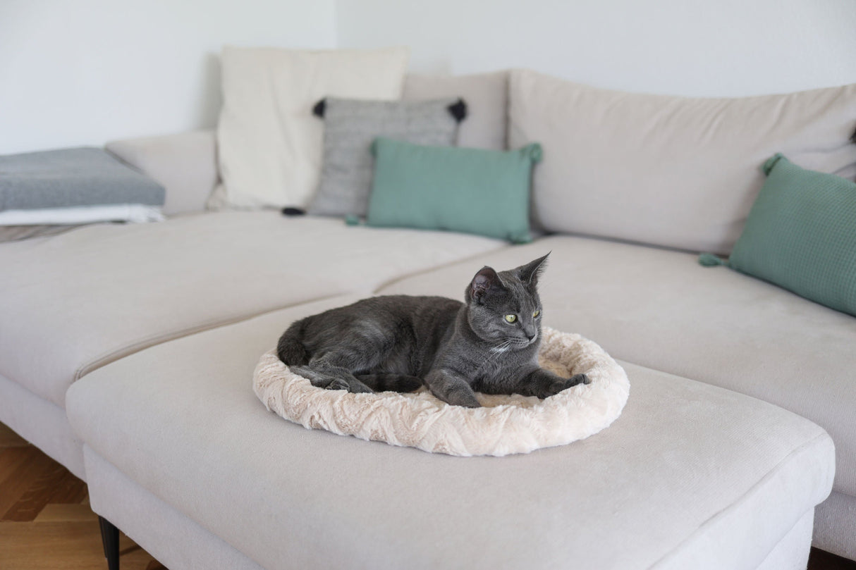 Kerbl Artikel 82581 im Online Shop kaufen