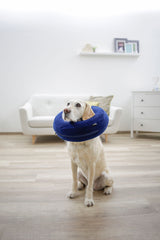 Kerbl Artikel 80834 im Online Shop kaufen