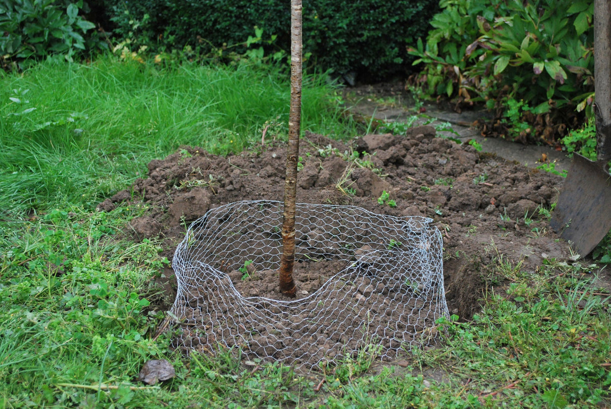 Kerbl Wühlmauskorb, groß, 60cm 291172