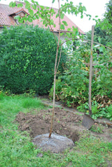 Kerbl Wühlmauskorb, klein, 35cm 291171