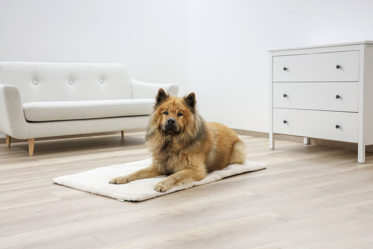 Kerbl Artikel 80376 im Online Shop kaufen