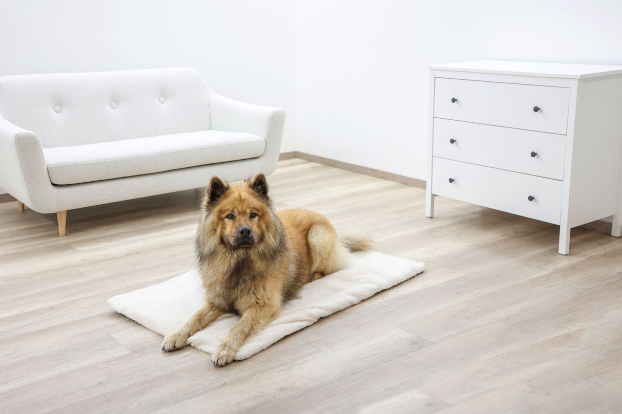 Kerbl Artikel 80376 im Online Shop kaufen