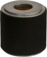 Honda Zentrifugalluftfilter 17210Z0V781