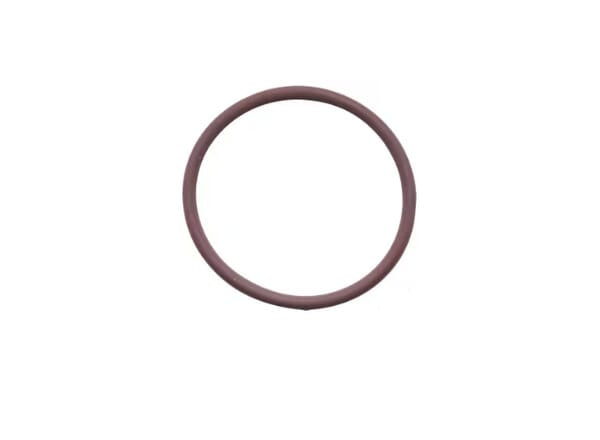 FPT Industrial O-Ring - 1 Stück - 17278981FPT