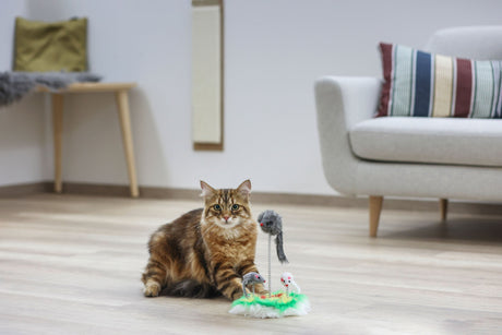 Kerbl Artikel 84247 im Online Shop kaufen