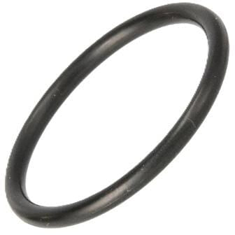 FPT Industrial O-Ring - 1 Stück - 17289480FPT