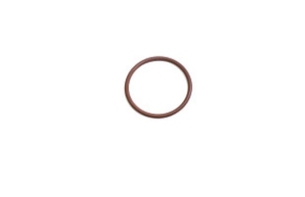 FPT Industrial O-Ring - 1 Stück - 17289781FPT