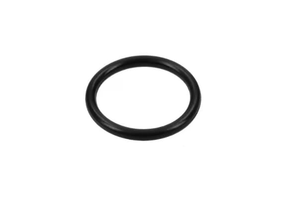 FPT Industrial O-Ring - 1 Stück - 17291881FPT