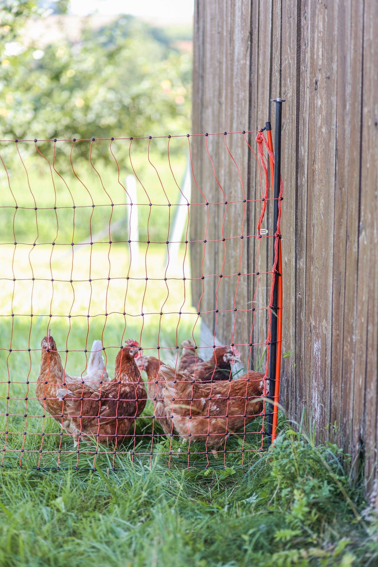 Kerbl Unterstützungspfahl für Weide- netze, 145cm, Ø14mm,verzinkt 1 Stück 27350