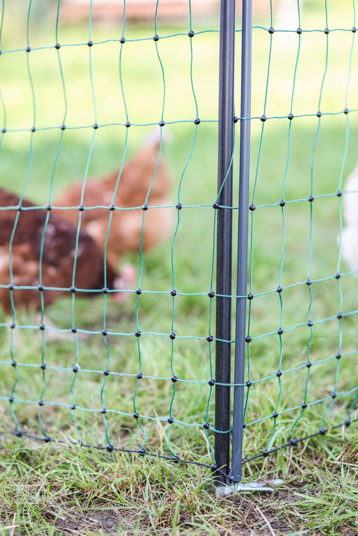 Kerbl Unterstützungspfahl für Weide- netze, 145cm, Ø14mm,verzinkt 1 Stück 27350