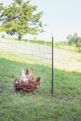 Kerbl Unterstützungspfahl für Weide- netze, 145cm, Ø14mm,verzinkt 1 Stück 27350