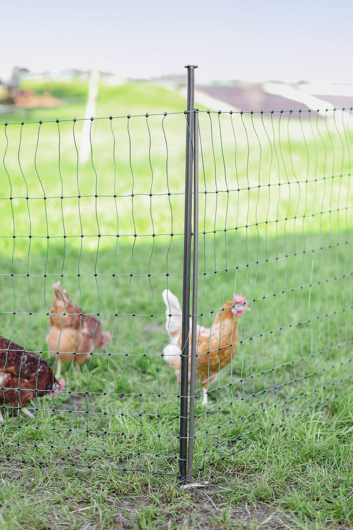 Kerbl Unterstützungspfahl für Weide- netze, 145cm, Ø14mm,verzinkt 1 Stück 27350