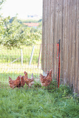 Kerbl Unterstützungspfahl für Weide- netze, 145cm, Ø14mm,verzinkt 1 Stück 27350