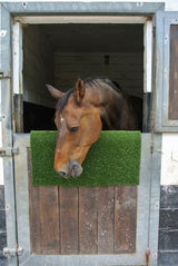 Kerbl Kratz- und Reinigungsmatte KratzPad 40x60 cm 3282838