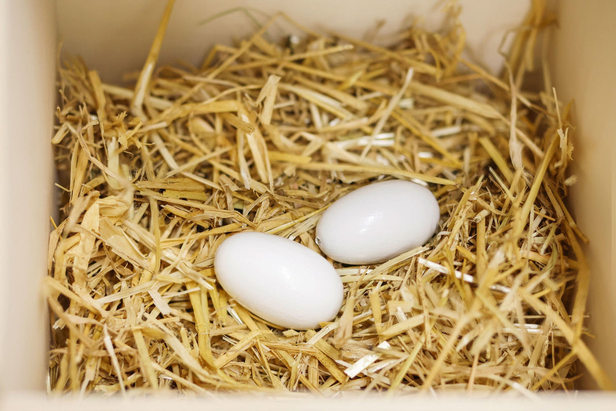 Kerbl Nesteier aus Holz für Hühner 2 Stück im Pack 73002/2